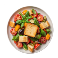 ai generado tomate vegetal ensalada panzanella vegetariano picatostes aceituna petróleo aislado en transparente antecedentes png