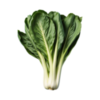 ai gegenereerd pak choi geïsoleerd Aan transparant achtergrond png