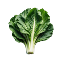 ai généré pak choi isolé sur transparent Contexte png