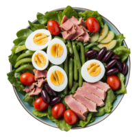 AI generated French salad nicoise with tuna eggs green beans tomatoes isolated on transparent background png