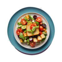 AI generated Tomato vegetable salad panzanella veggie croutons olive oil isolated on transparent background png