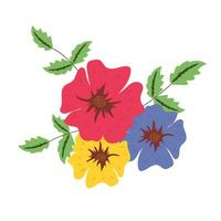 Pansy flowers. Hand drawn floral illustration isolated on white background. vector