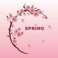 cherry blossoms round frame, spring background vector design