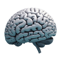 AI generated Three dimensional brain isolated on transparent background png