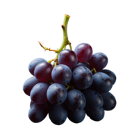 AI generated Grapes in contrast on dark surface isolated on transparent background png