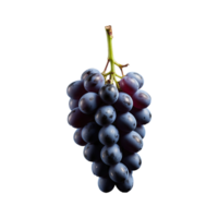 ai generato uva nel contrasto su buio superficie isolato su trasparente sfondo png