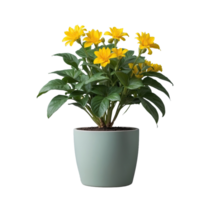 AI generated potted green plants and yellow flowers isolated on transparent background png
