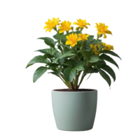 ai généré mis en pot vert les plantes et Jaune fleurs isolé sur transparent Contexte png