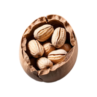 AI generated Seeds of peanuts isolated on transparent background png