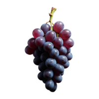 AI generated Grapes in contrast on dark surface isolated on transparent background png