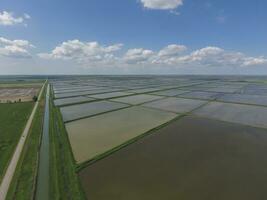 Flooded rice paddies. Agronomic methods of growing rice in the f photo