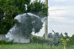 Irrigation system Watering in the garden. Watering the seedlings in the park. Watering the fields. Sprinkler. photo