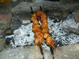 Shish kebab on a skewer. photo