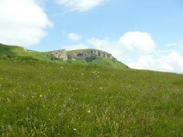 The blossoming meadows on slopes of hills. photo