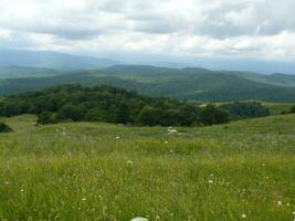 The blossoming meadows on slopes of hills. photo