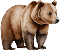 ai gerado Castanho urso, ilustração. png