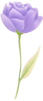 ai gerado uma flor, ilustração png