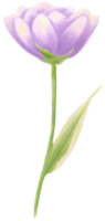 ai généré une fleur pour décoration. png