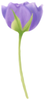 ai généré une fleur pour décoration. png