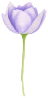 ai gerado uma flor para decoração. png