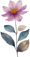 AI generated a flower for decoration. png