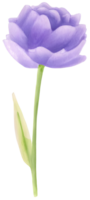 AI generated a flower for decoration. png