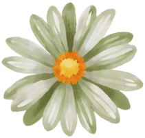 AI generated a flower for decoration. png