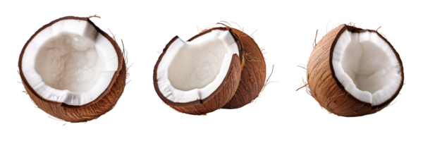 AI generated Coconut on a transparent background png