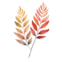 AI generated watercolor eucalyptus leaves on transparent background png