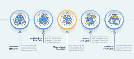 2d célula terapia vector infografia modelo con multicolor lineal íconos concepto, datos visualización con 5 5 pasos, proceso cronograma cuadro.