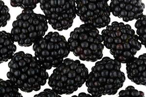 Fresh Ripe Blackberries photo