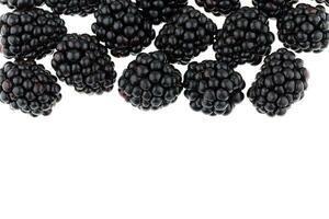 Blackberry isolated on white background photo