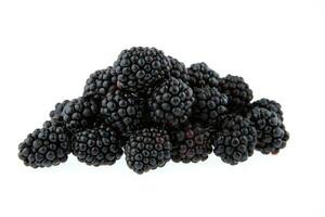 Blackberry isolated on white background photo