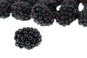 Fresh blackberry on white background photo