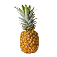 ai gegenereerd een vers ananas geïsoleerd Aan een transparant achtergrond png