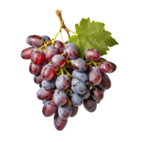 ai generado un manojo de rojo uvas aislado en un transparente antecedentes png