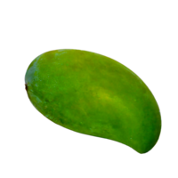 AI generated A green mango isolated on a transparent background png