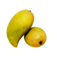 AI generated Two fresh ripe mangoes isolated on a transparent background png