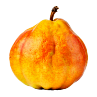 AI generated Quince isolated on a transparent background png