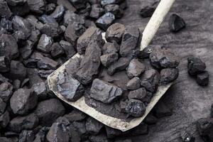 Shovel and coal in the background coal mine photo