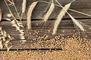 Ears of wheat on old wooden table photo