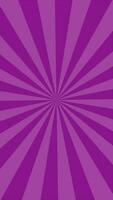 Simple Flat Light Purple Sun Burst Looping Animation Vertical Video Background