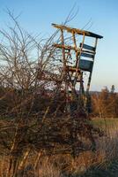 Hunting tower in forest photo