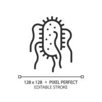 2D pixel perfect editable black salmonella typhi icon, isolated vector, simple thin line illustration representing bacteria. vector