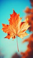 AI generated 4K colorful leaf AMOLED wallpaper photo