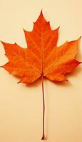 AI generated 4K colorful leaf AMOLED wallpaper photo