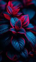 AI generated 4K colorful leaf AMOLED wallpaper photo