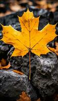 AI generated 4K colorful leaf AMOLED wallpaper photo