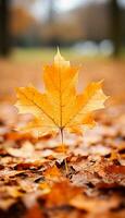 AI generated 4K colorful leaf AMOLED wallpaper photo