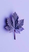 AI generated 4K colorful leaf AMOLED wallpaper photo